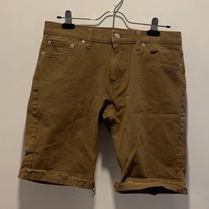 Levis Shorts